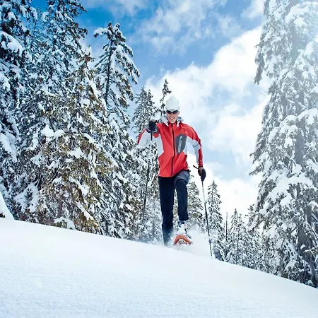 Apartment Sauna-Apartment In Schladming