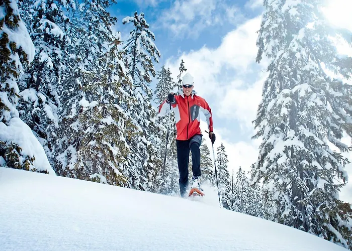 Apartment Sauna-Apartment In Schladming